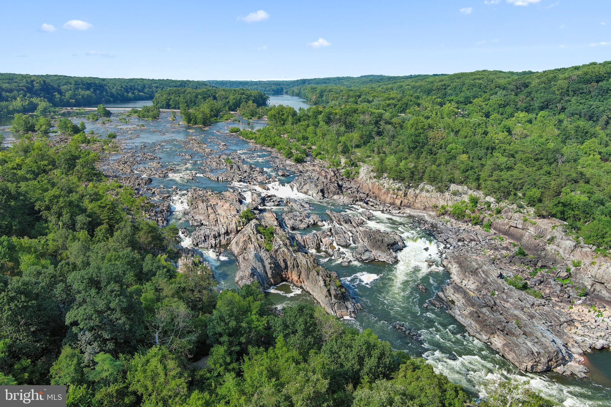 6140 Ramshorn Drive McLean, VA 22101 - Photo 64 of 72 a view of a big yard with lots of trees
