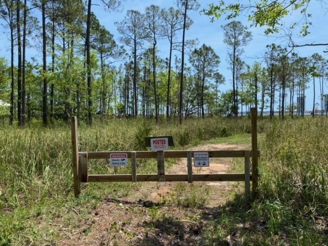 Ft Morgan Road Gulf Shores, AL 36542 - Photo 7 of 11