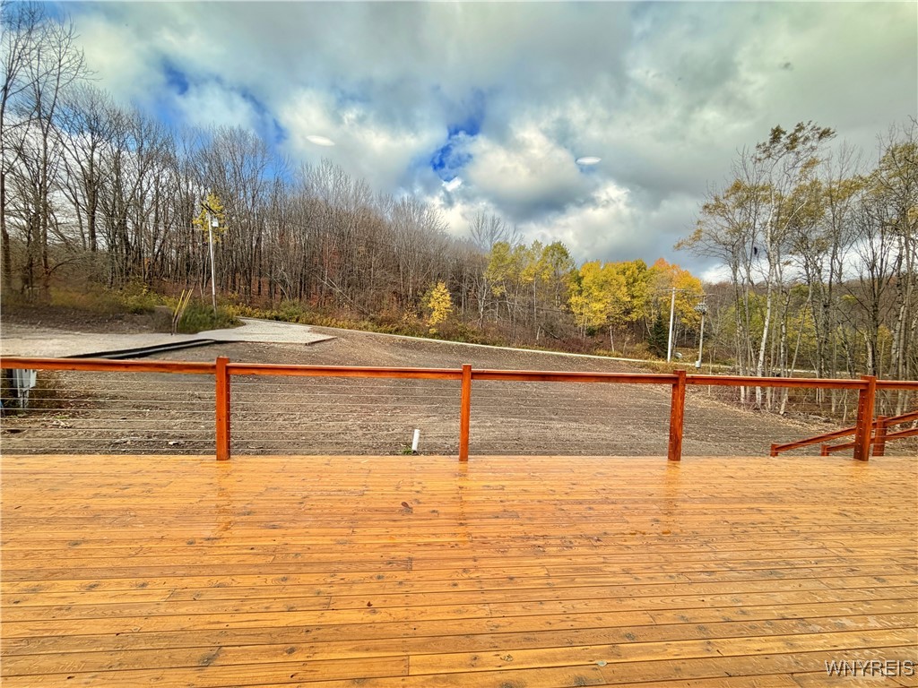 6864 Simmons Road Ellicottville, NY 14731 - Photo 34 of 39