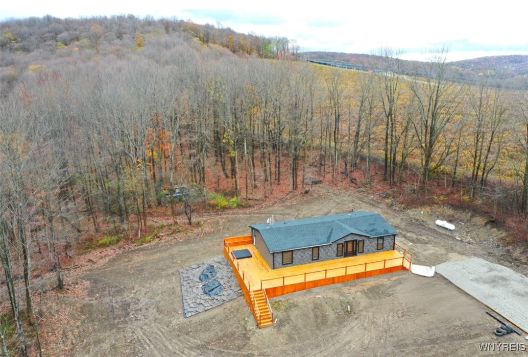 6864 Simmons Road Ellicottville, NY 14731 - Photo 4 of 39