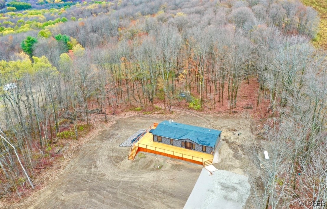 6864 Simmons Road Ellicottville, NY 14731 - Photo 5 of 41