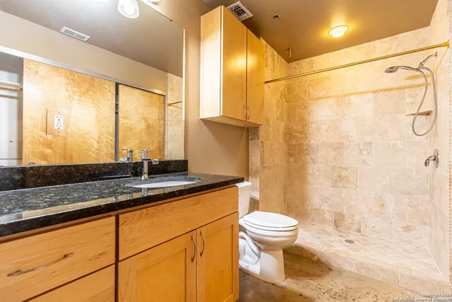 a bathroom with a granite countertop sink toilet and shower