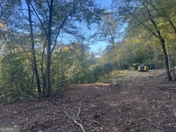 a view of a dry yard with lots of trees