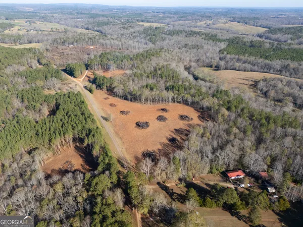 a view of a dry yard with trees