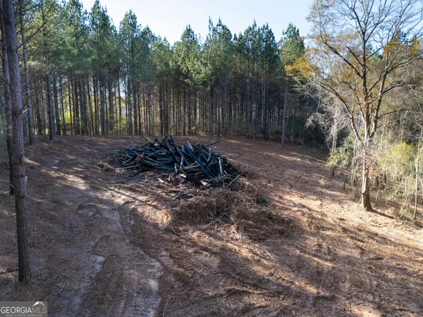 $213,250 | 0 County Road 432, Woodland, AL 36280