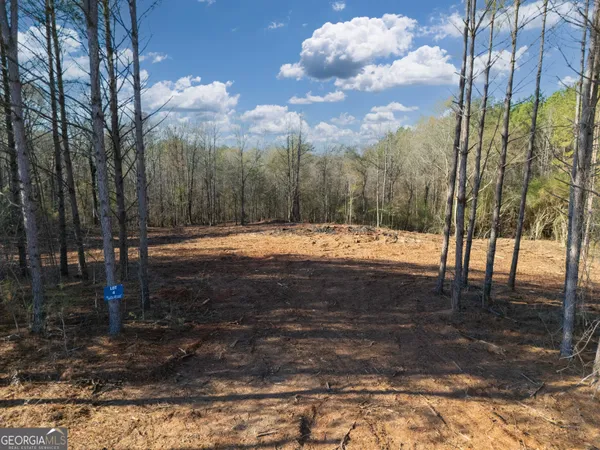 $213,250 | 0 County Road 432, Woodland, AL 36280