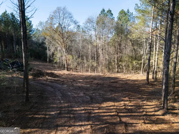 $213,250 | 0 County Road 432, Woodland, AL 36280