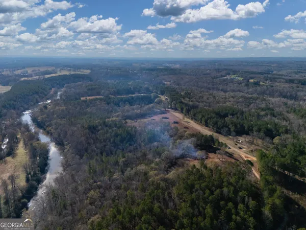 a view of a forest with trees in the background