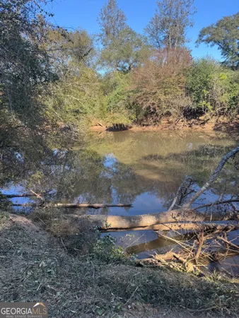 a view of a yard with a yard