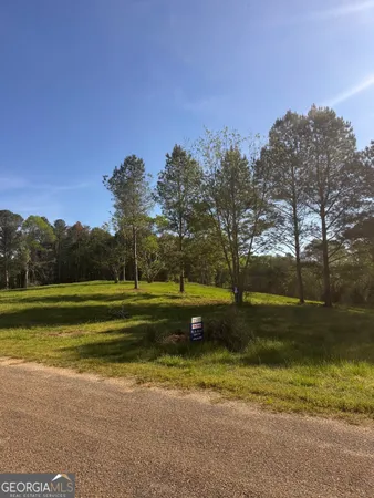 a view of a forest with trees in the background