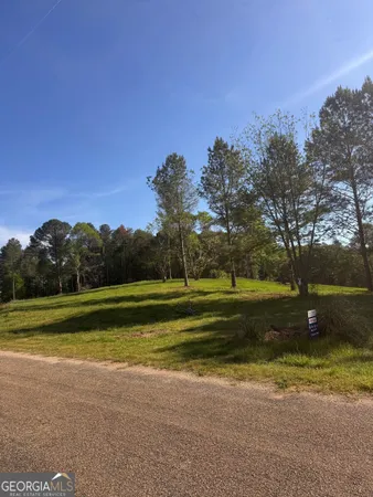 a view of a yard with a yard