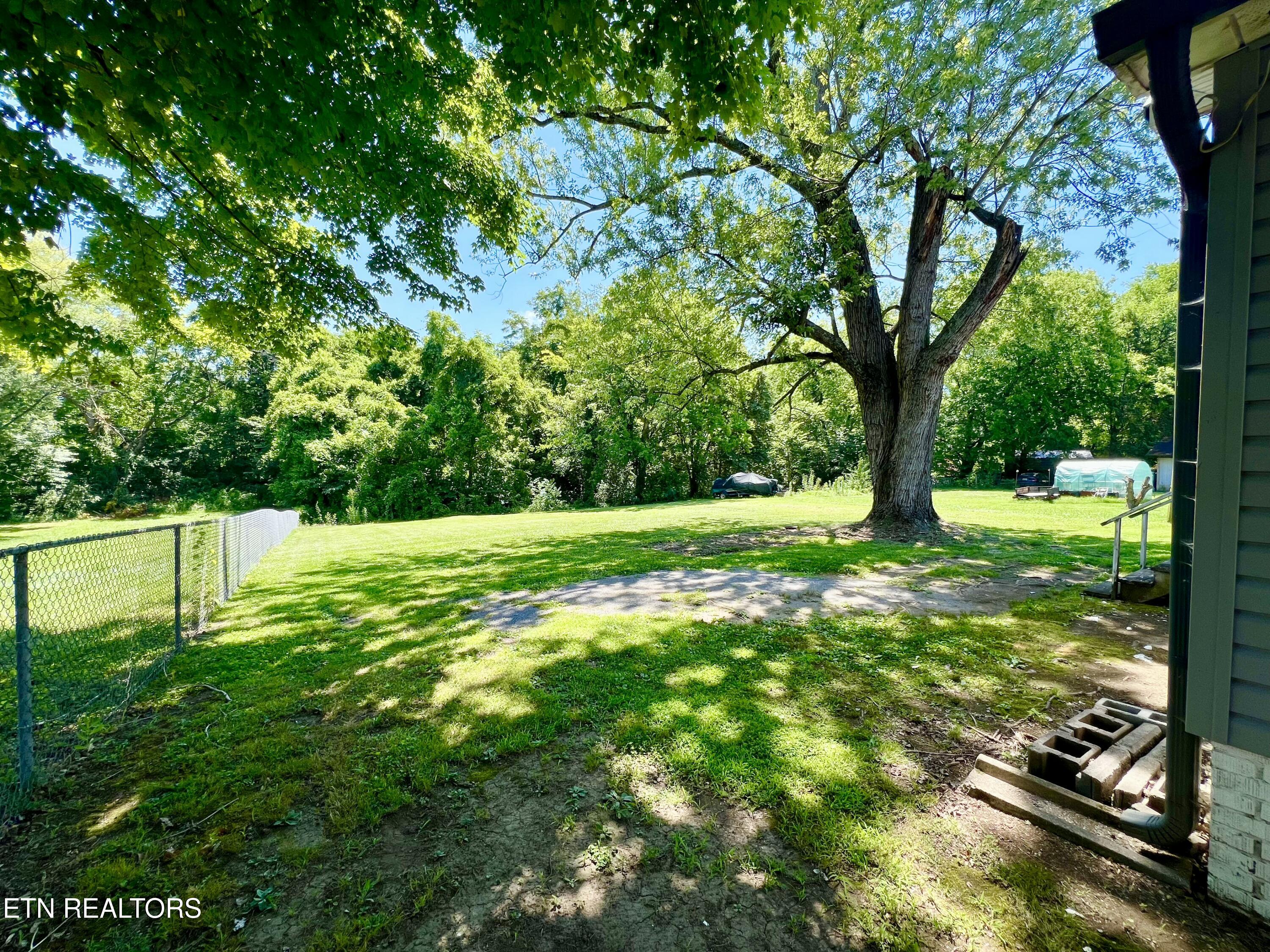 1732 North Wright Road Alcoa, TN 37701 - Photo 24 of 26 Backyard
