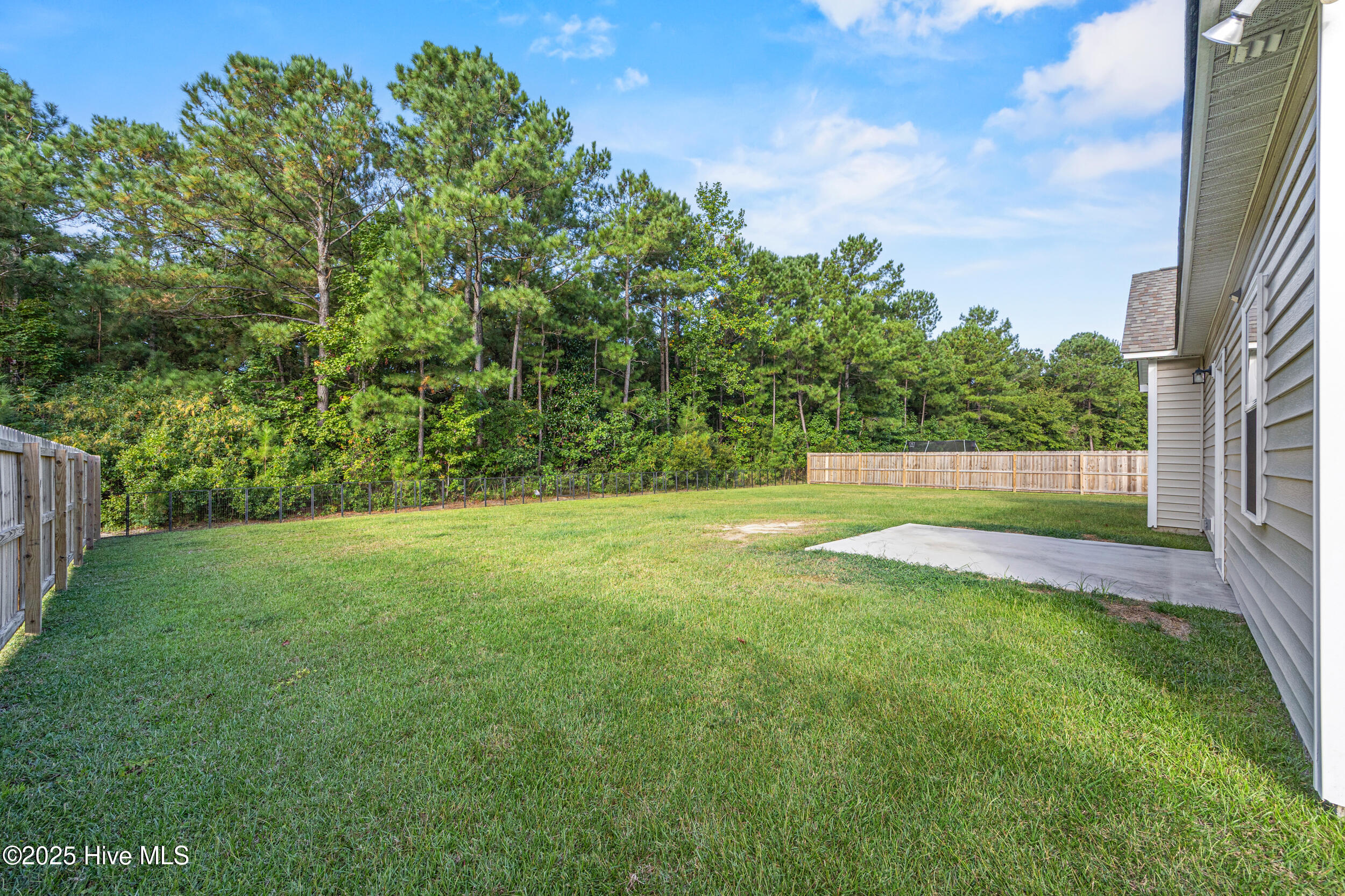 139 Queens Haven Road Hubert, NC 28539 - Photo 32 of 42 32_backyard