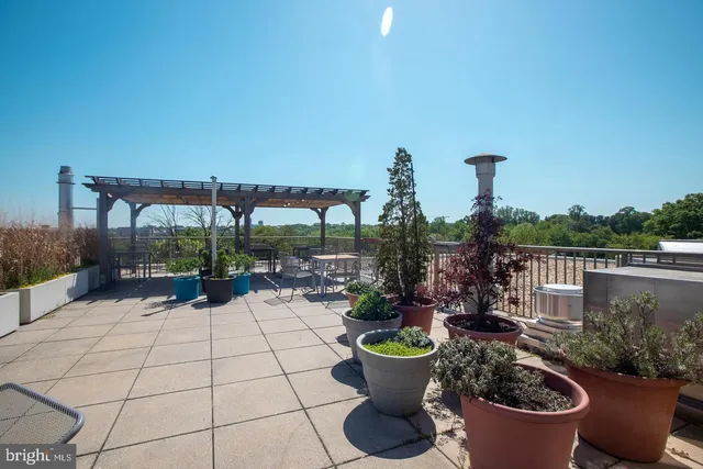 a view of a terrace with chairs and potted plants