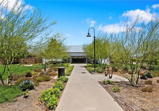a view of a garden with plants