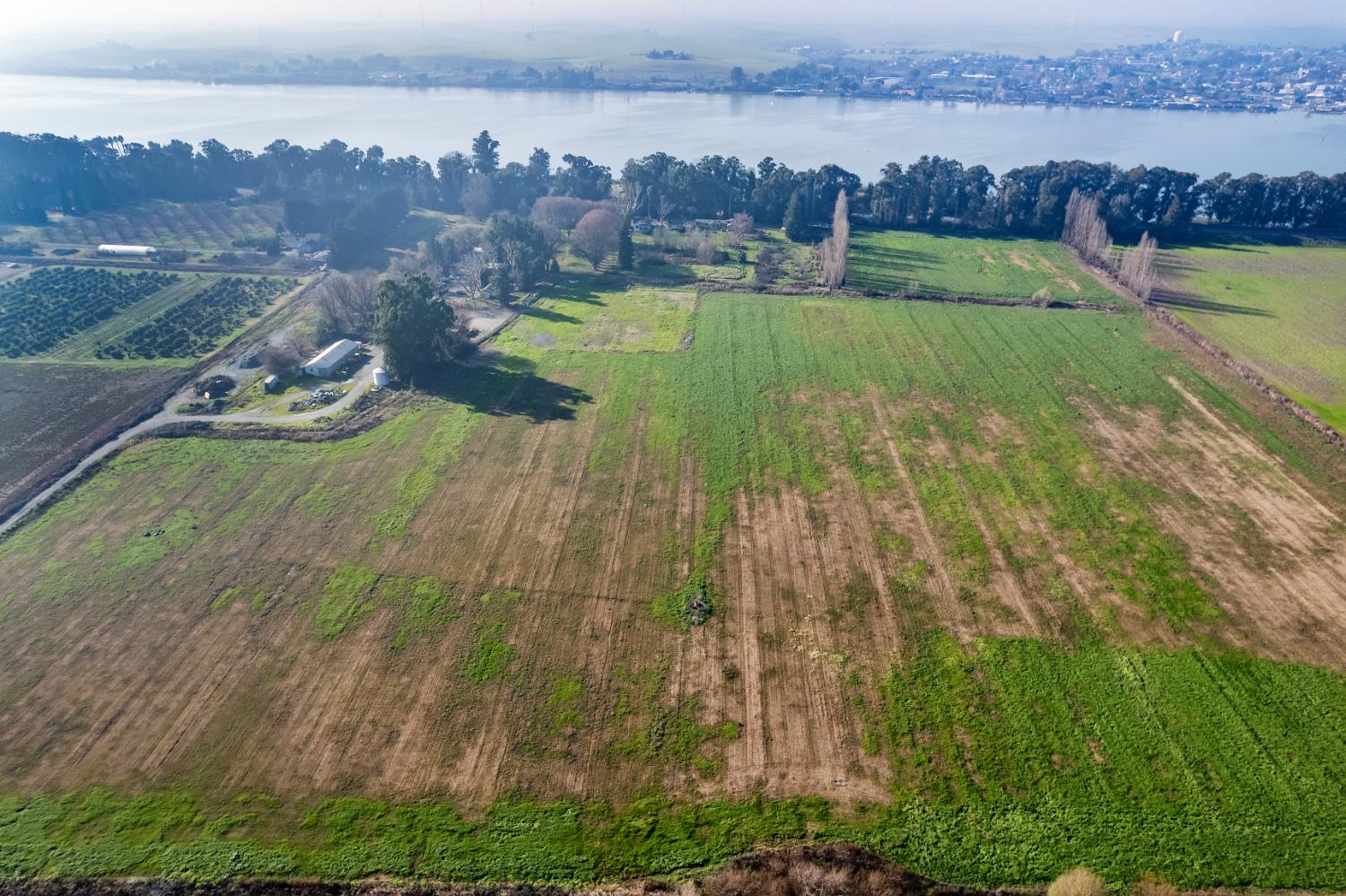 16739 Highway 160 Isleton, CA 95641 - Photo 8 of 39 Crop area 62 acres