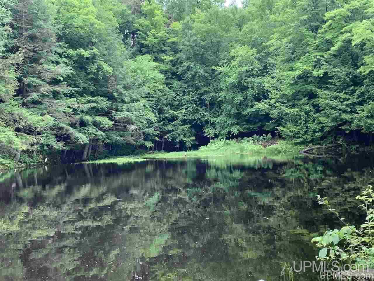 W521 County Road Niagara, WI 54151 - Photo 23 of 27
