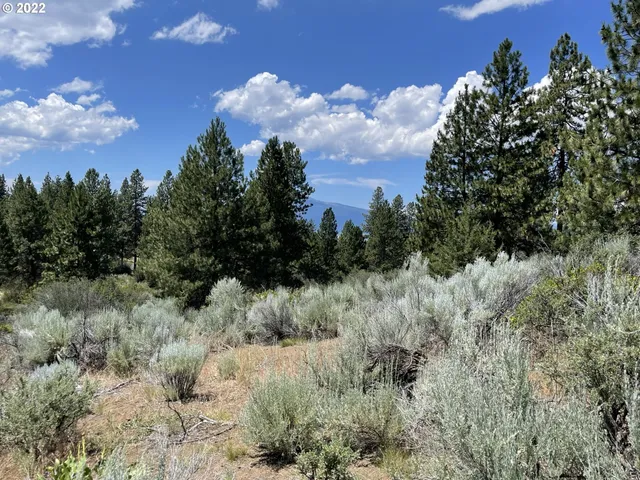 $90,000 | Legget Drive, Unit 21 22, Chiloquin, OR 97624