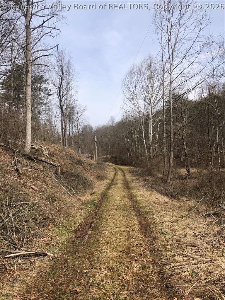 0 Burgess Run Road Sandyville, WV 25275 - Photo 6 of 6 Gallery Image 6