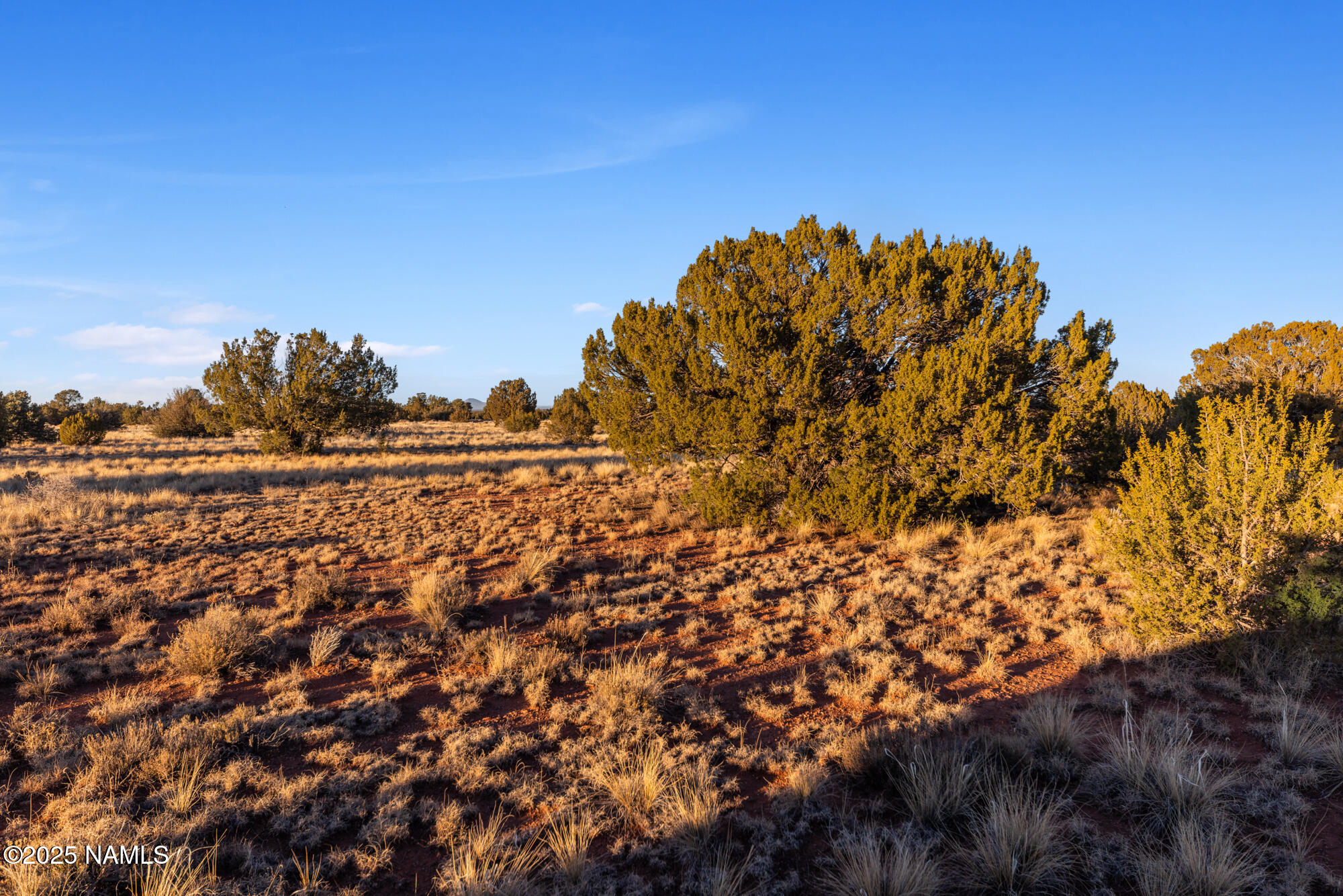 4373 East Cedar Road Williams, AZ 86046 - Photo 12 of 35 IMG_3587