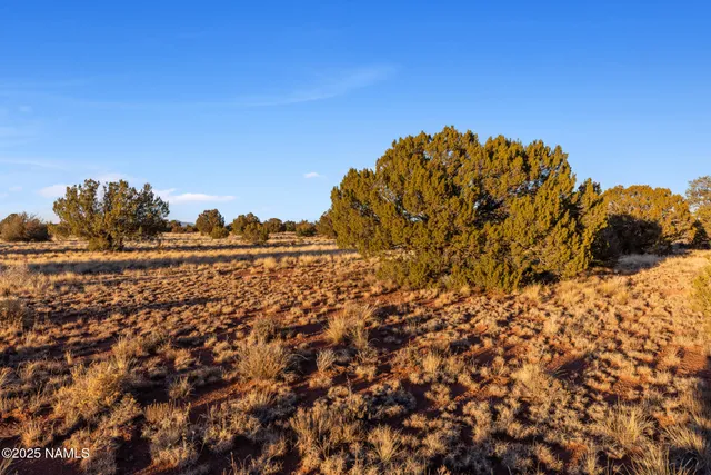 a view of lake and mountain