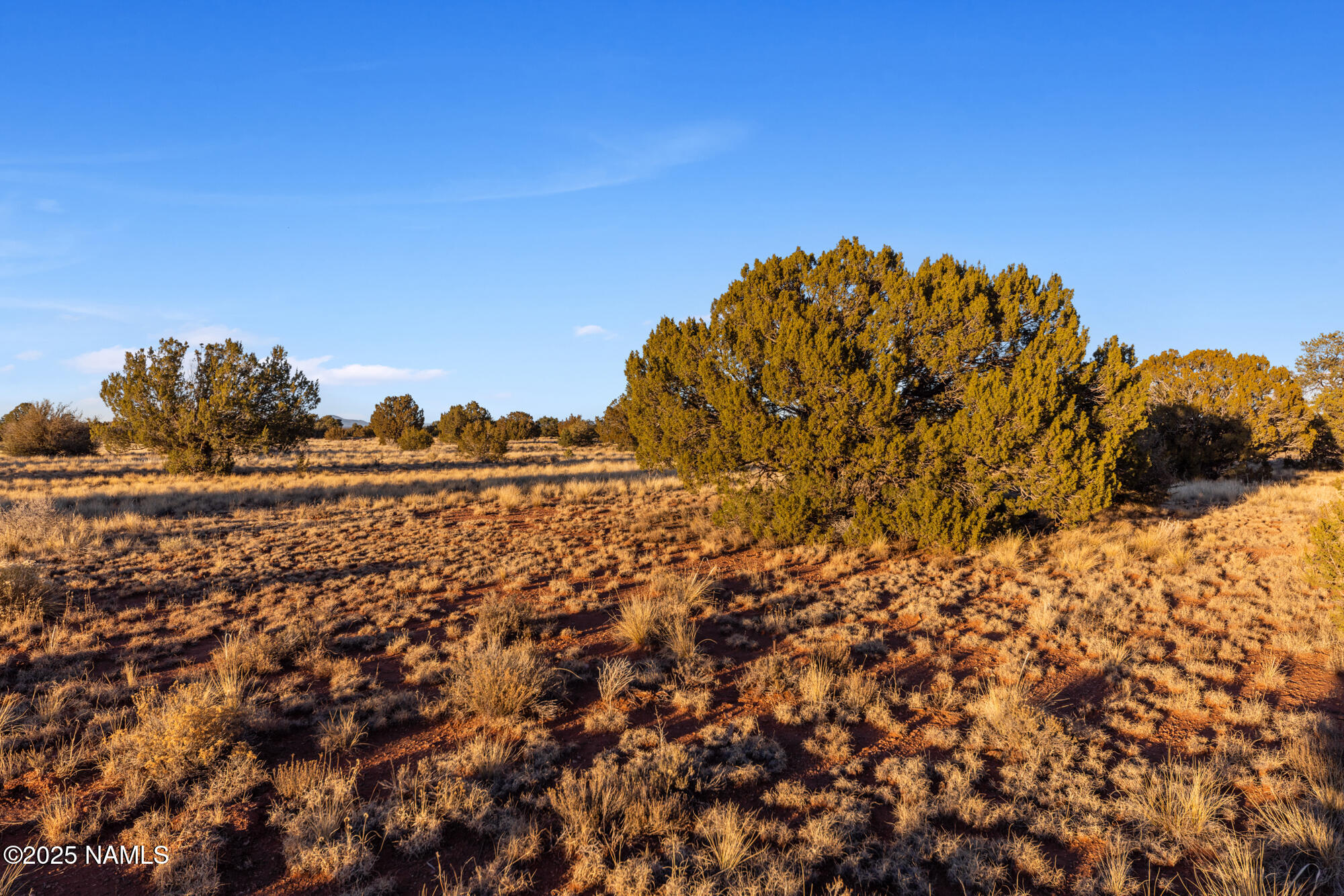 4373 East Cedar Road Williams, AZ 86046 - Photo 13 of 35 IMG_3588