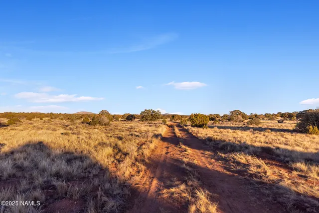 a view of an outdoor space