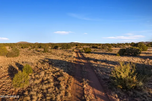 a view of city and mountain