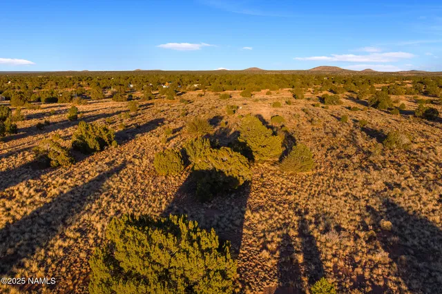 a view of city and ocean