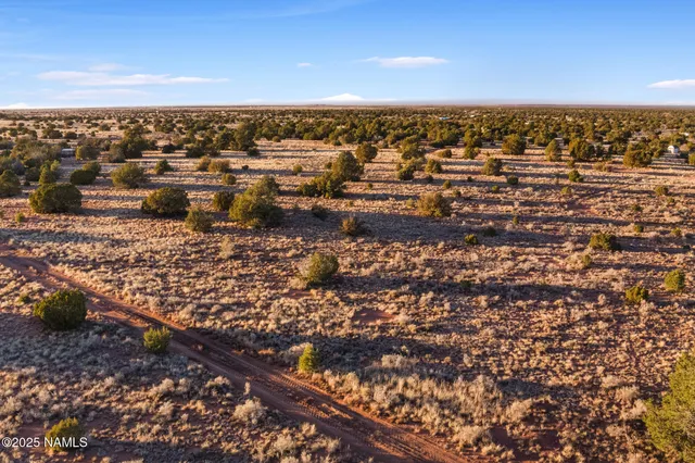 a view of a city with mountains in the background