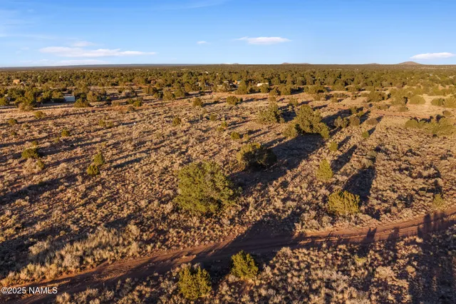 a view of city and ocean