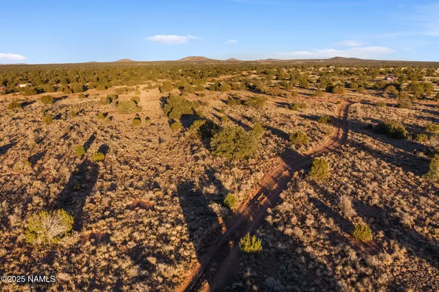 a view of city and mountain