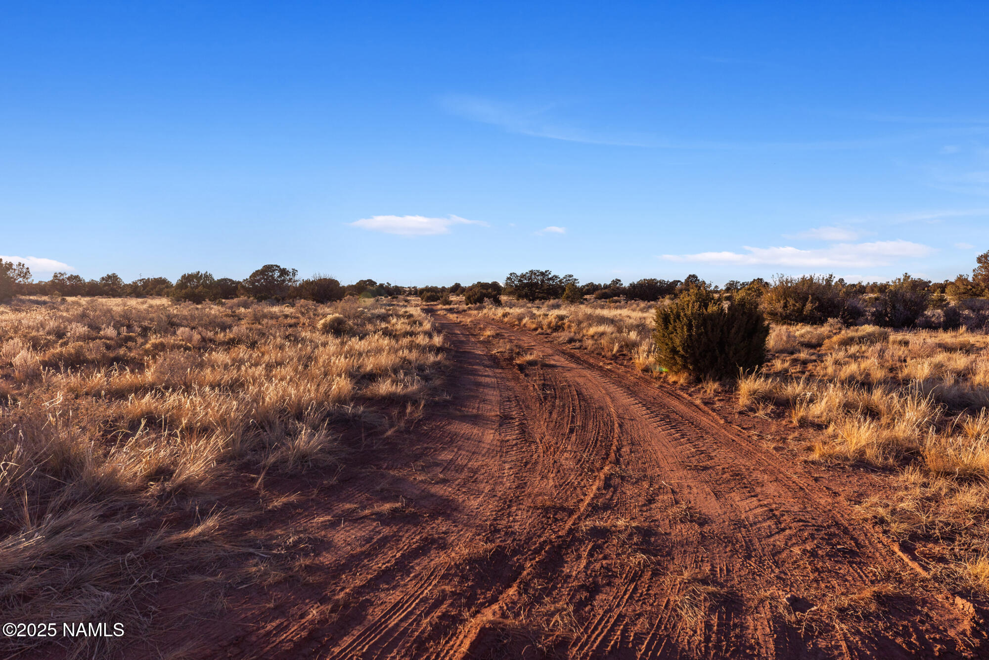 4373 East Cedar Road Williams, AZ 86046 - Photo 3 of 35 IMG_3578