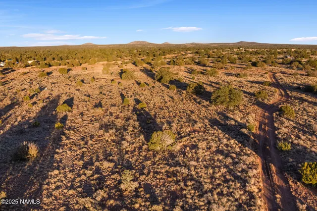 a view of city and mountain