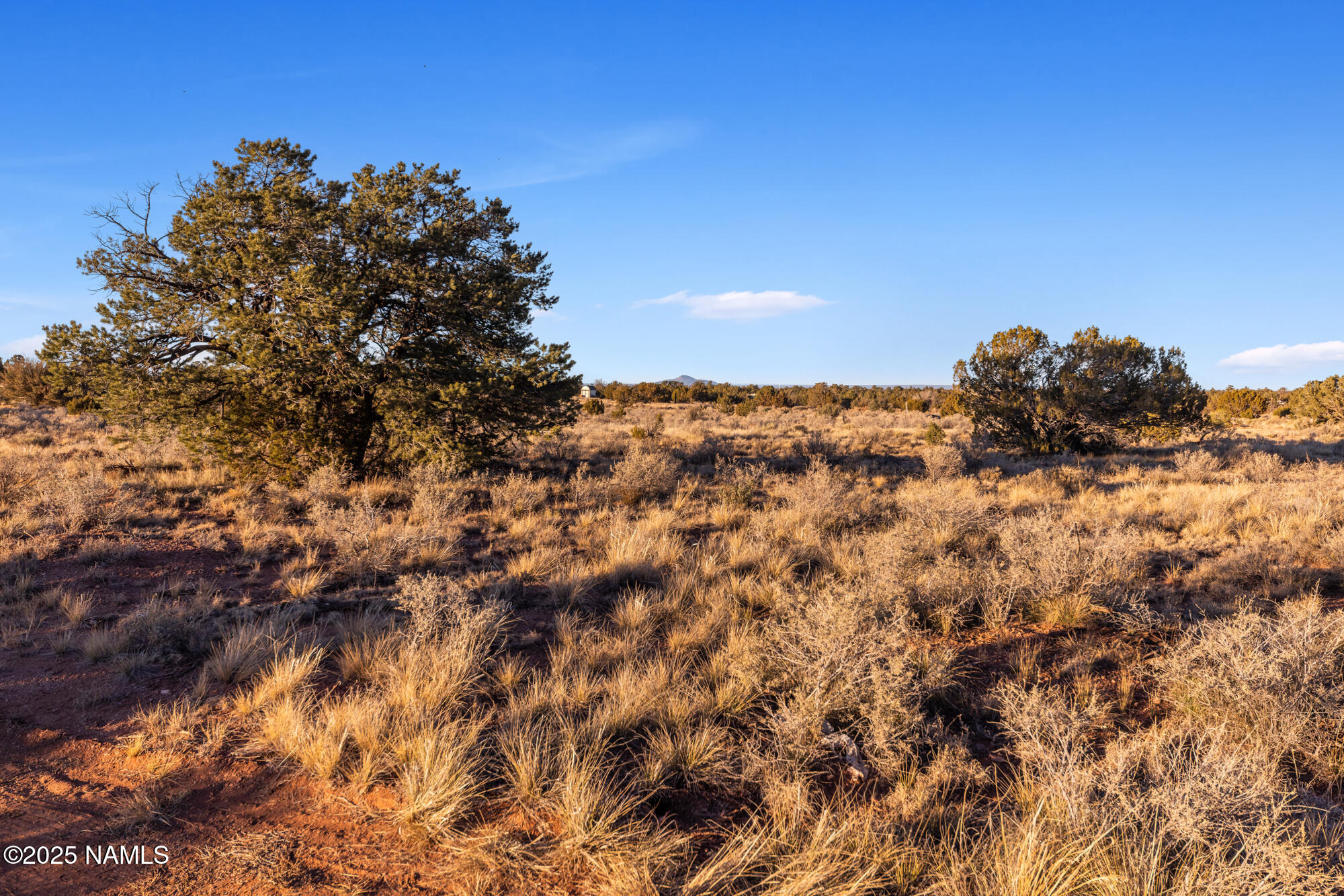 4373 East Cedar Road Williams, AZ 86046 - Photo 4 of 35 IMG_3583