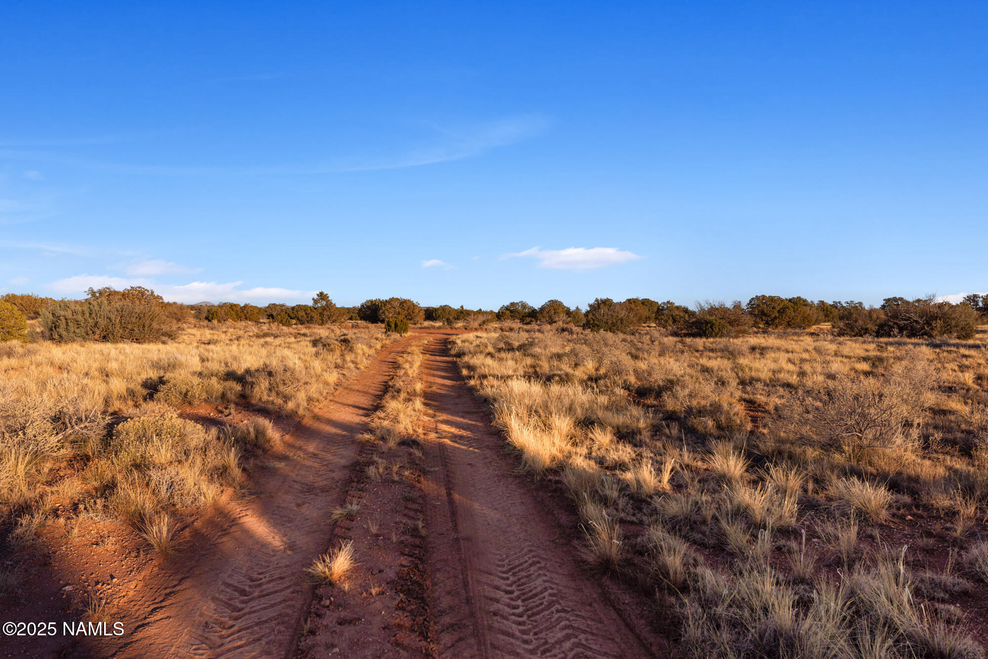 4373 East Cedar Road Williams, AZ 86046 - Photo 5 of 35 IMG_3579