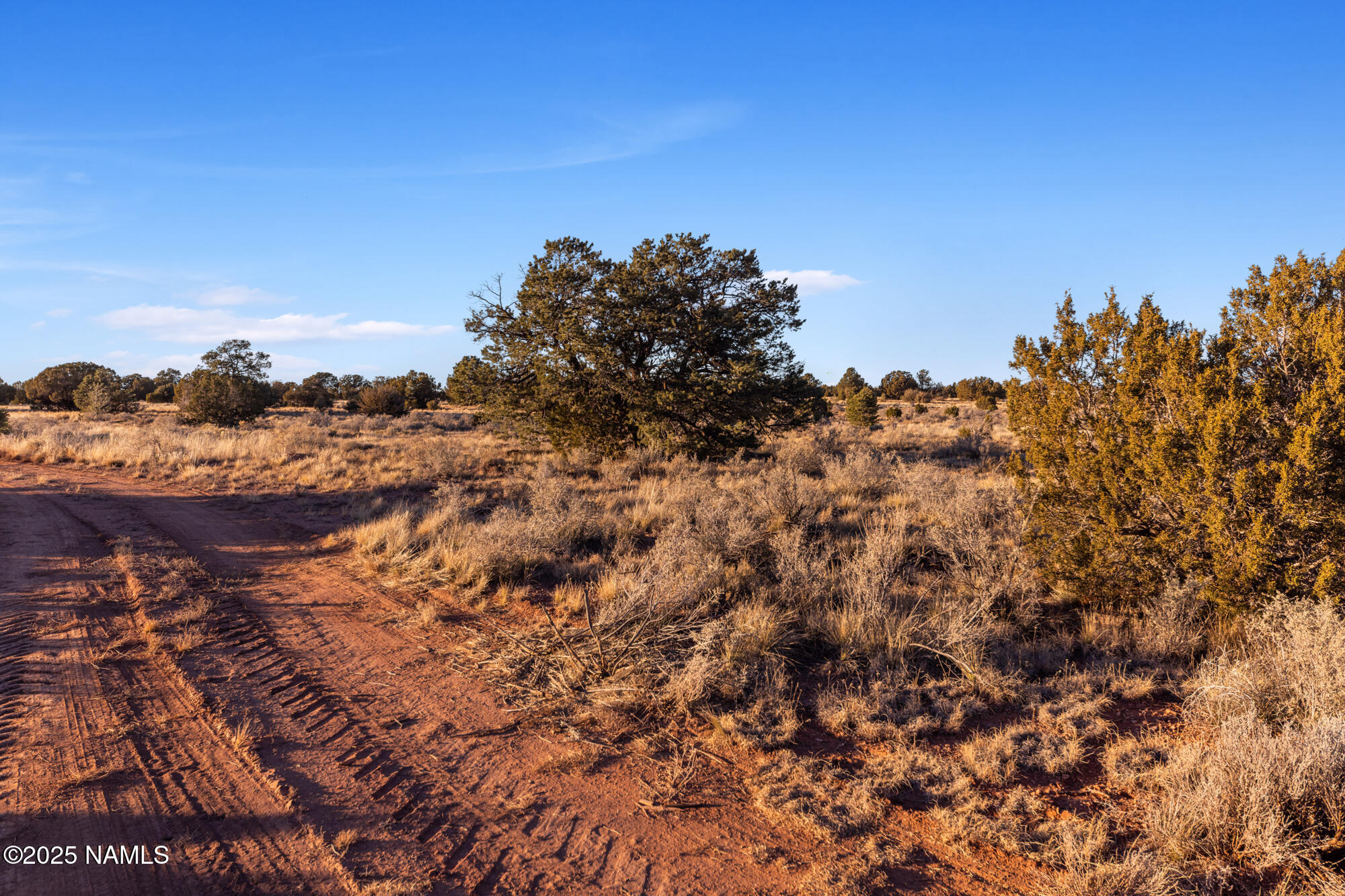 4373 East Cedar Road Williams, AZ 86046 - Photo 8 of 35 IMG_3582