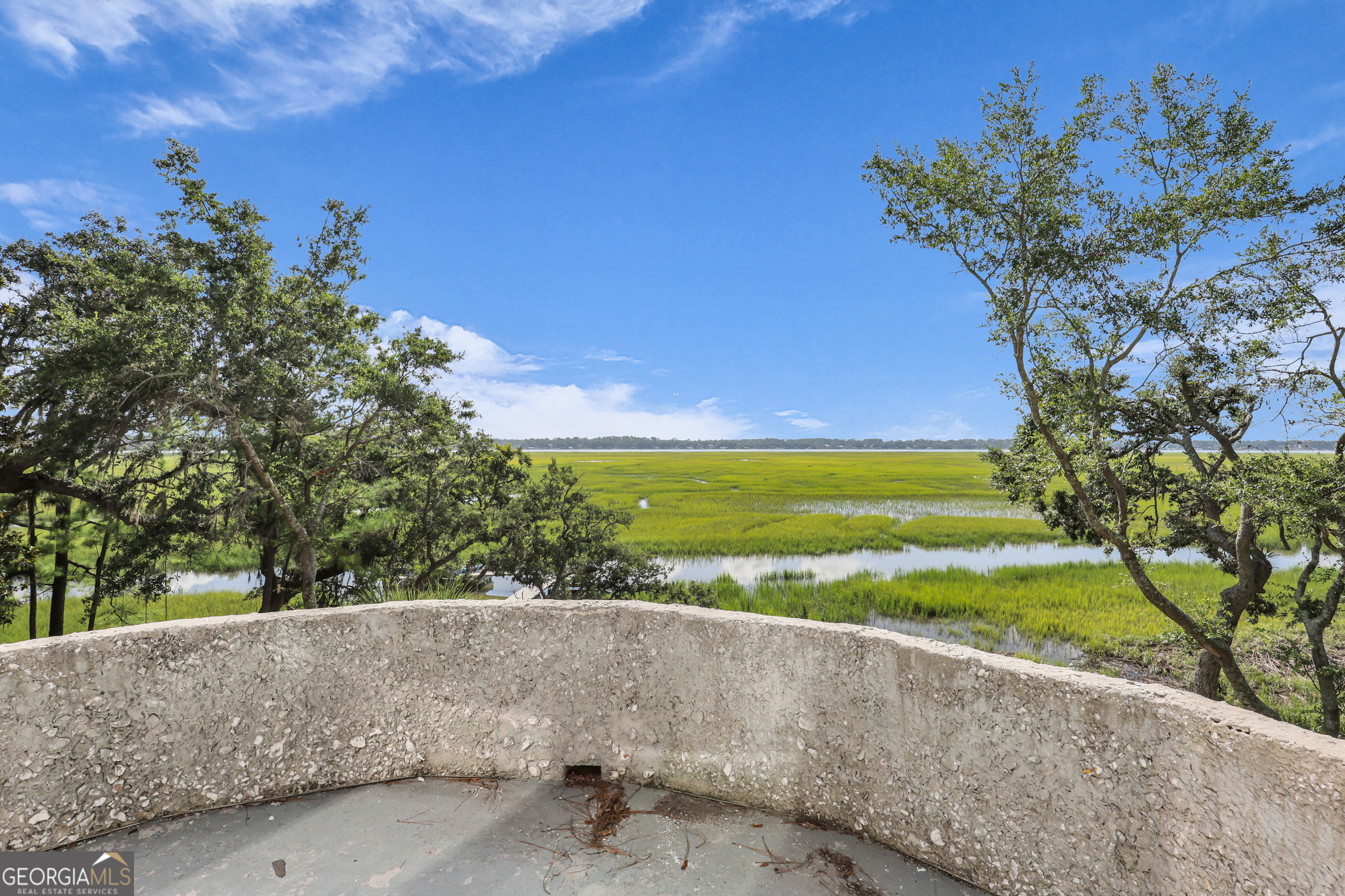 18 Modena Island Drive Savannah, GA 31411 - Photo 29 of 48 a view of a yard with an outdoor space