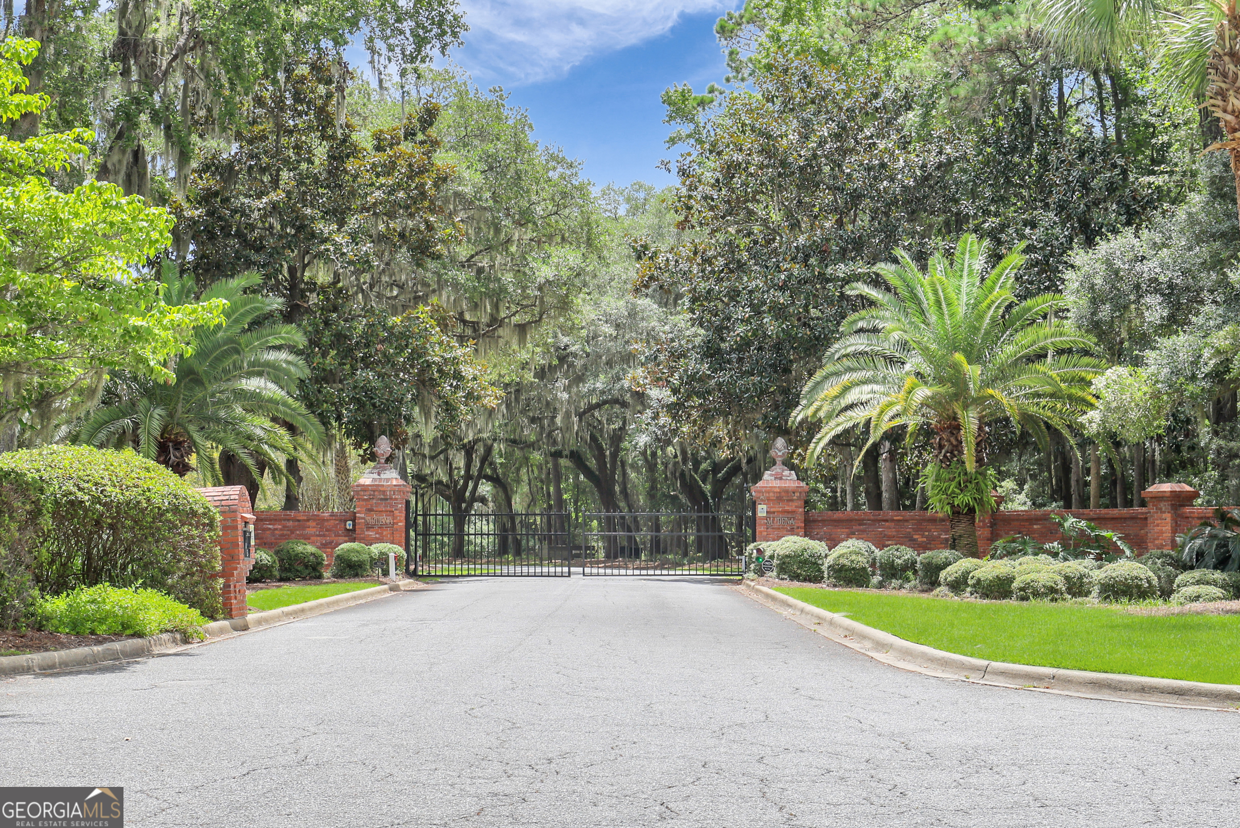 18 Modena Island Drive Savannah, GA 31411 - Photo 46 of 48 a view of a backyard with plants and palm trees