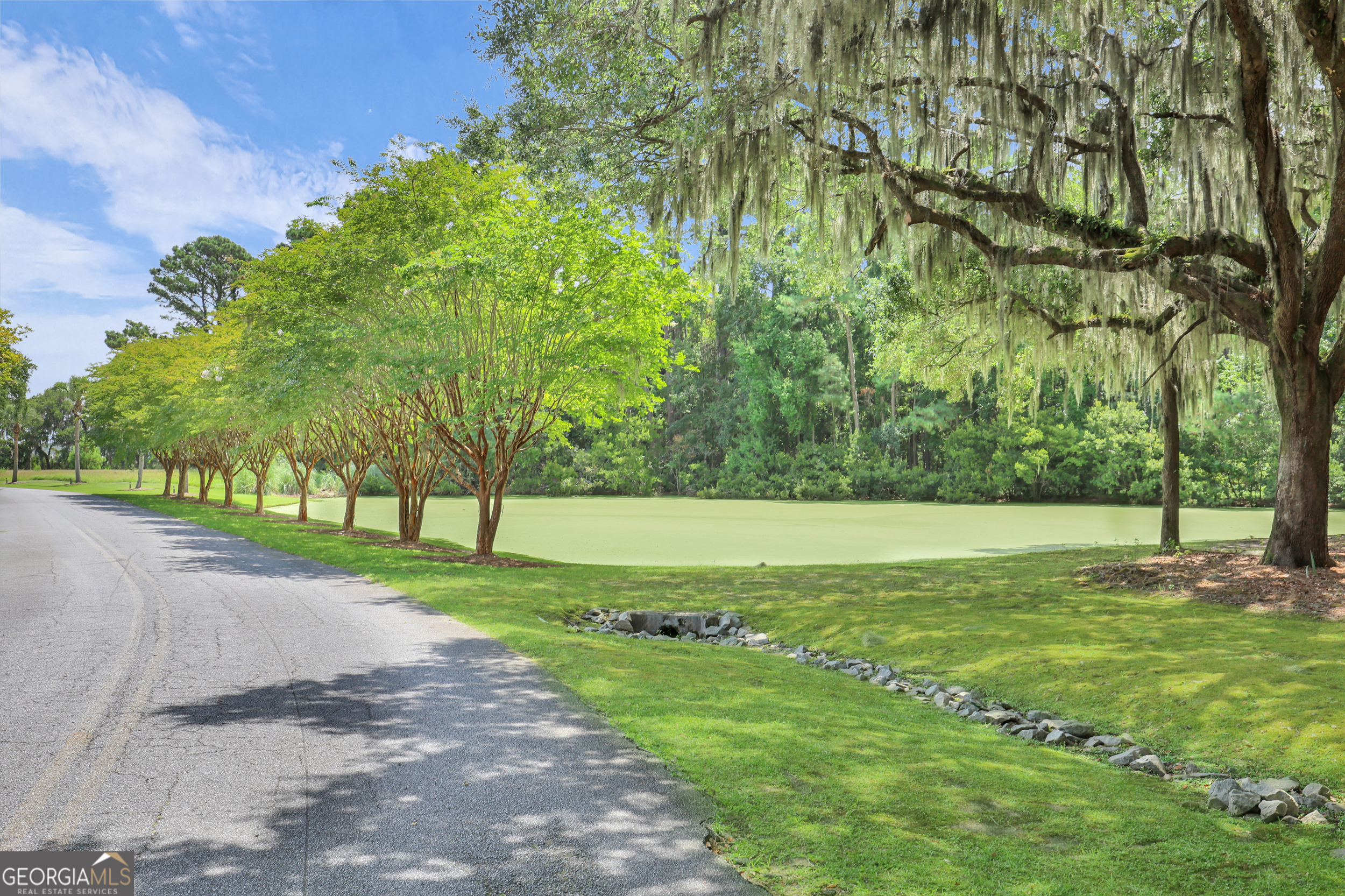 18 Modena Island Drive Savannah, GA 31411 - Photo 47 of 48 a view of a park with large trees