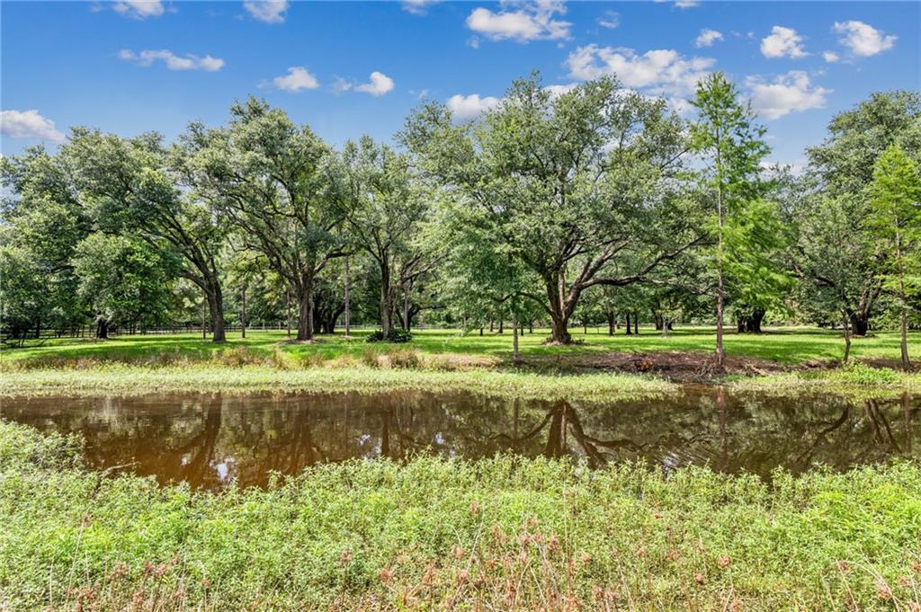 101 Eagle Road Covington, LA 70435 - Photo 6 of 33 Gallery Image 6