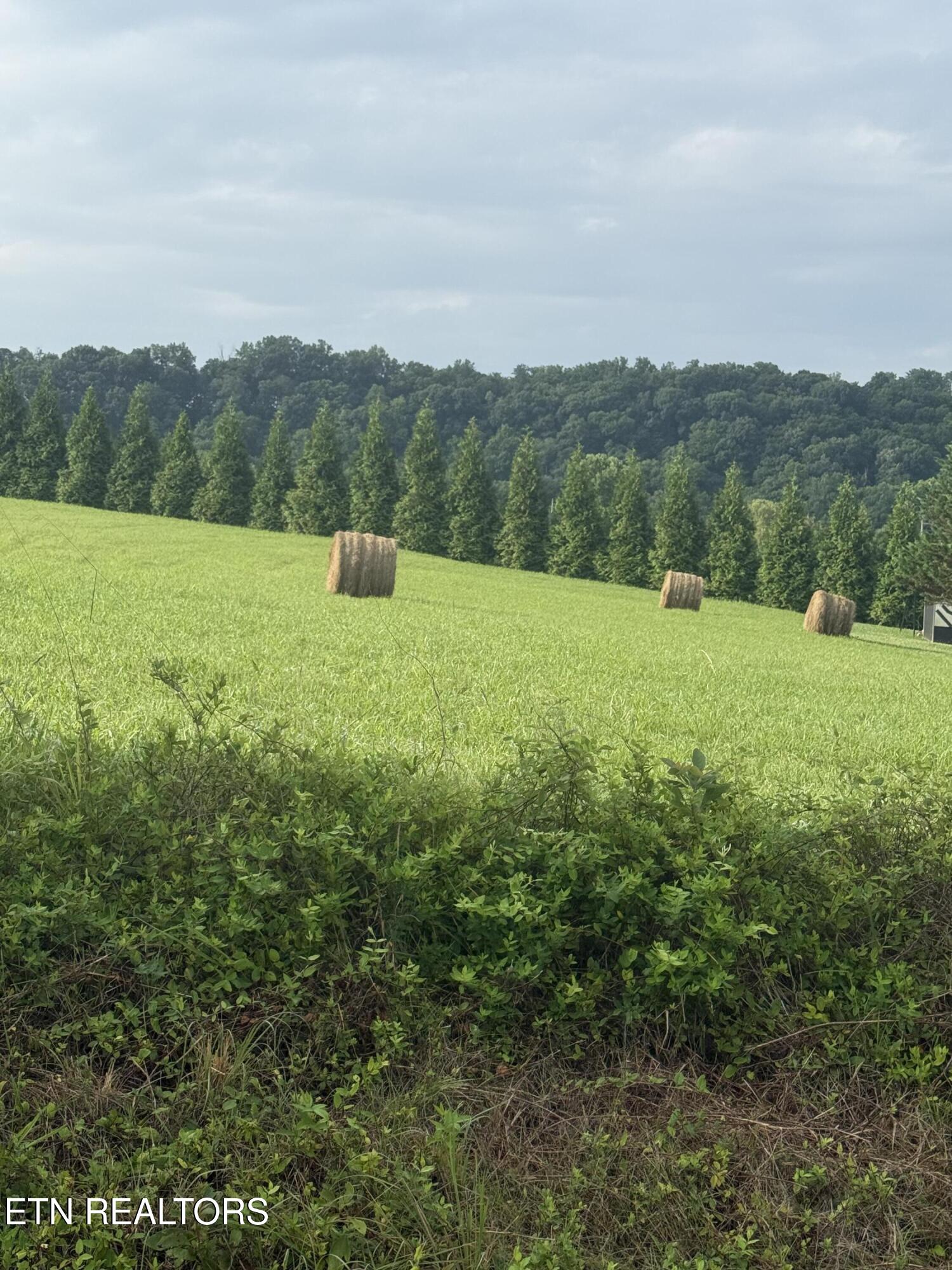 Holston Acres Rutledge, TN 37861 - Photo 2 of 5 IMG_6646