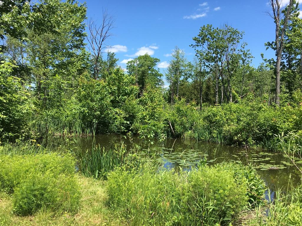 161 Dixon Road Clinton, ME 04927 - Photo 18 of 18 17 Pond