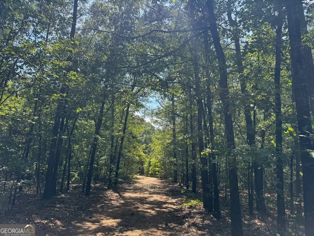 a view of outdoor space and trees