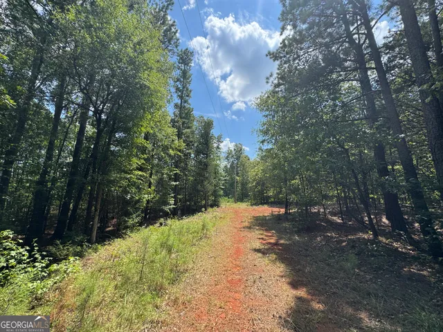 a view of a road with trees in the background