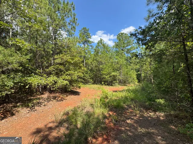a view of a yard with a tree