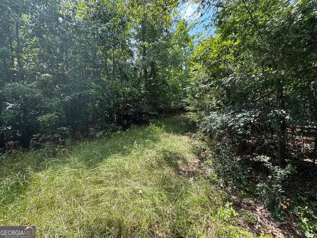 a view of outdoor space and garden