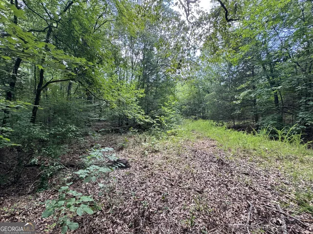 a big yard with lots of green space and deers
