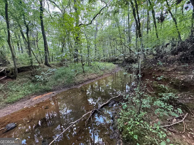a view of a forest with trees