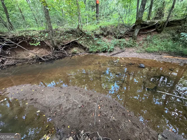a view of a lake with lots of trees